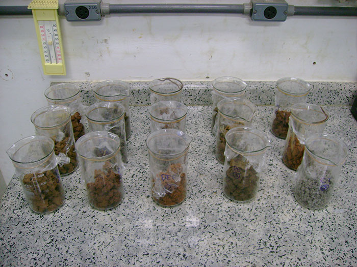 Bioensaio com minhocas para avaliação do grau de contaminação de solos contaminados.